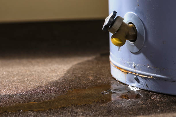 Best Basement water damage restoration  in Homeland, GA