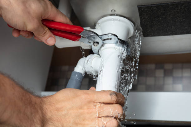 Best Water damage contractors near me  in Homeland, GA
