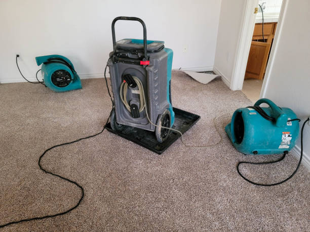 Reliable Homeland, GA Water damage restoration Solutions