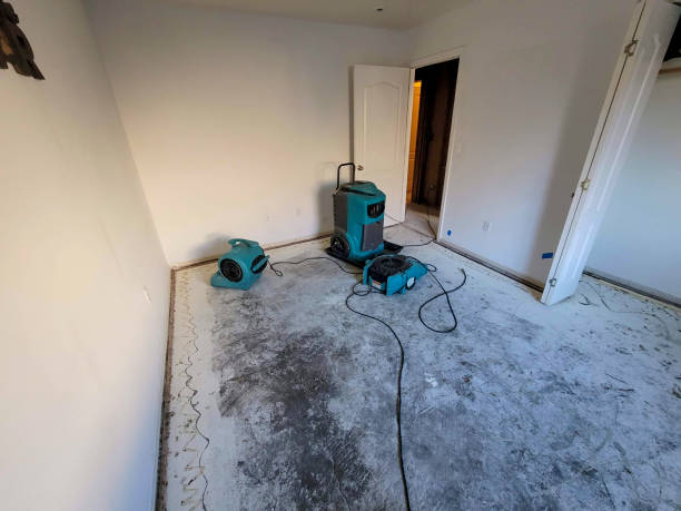 Best Professional water damage repair  in Homeland, GA