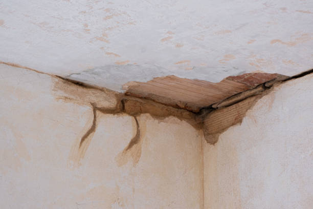 Best Flood restoration services  in Homeland, GA
