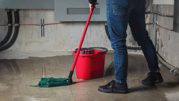 Best Carpet water damage restoration  in Homeland, GA