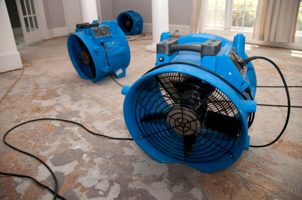Best Water damage cleanup near me  in Homeland, GA