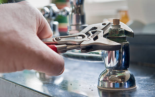 Best Mold removal after water damage  in Homeland, GA