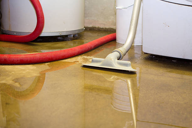  Homeland, GA Water damage restoration Pros