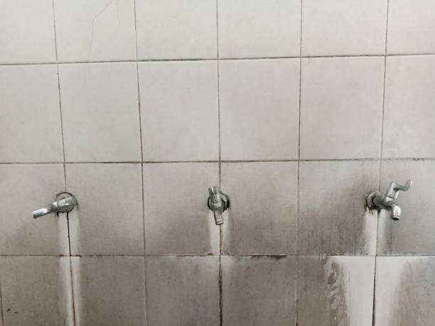 Best Flood damage cleanup  in Homeland, GA