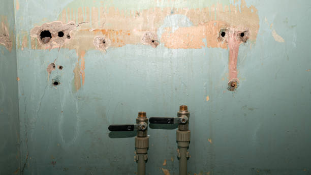 Trusted Homeland, GA Water damage restoration Experts