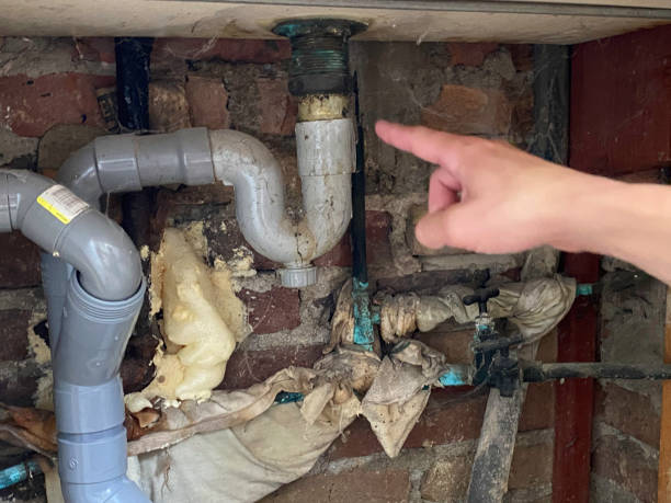 Best Water damage restoration mold remediation  in Homeland, GA