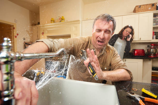 Best Mold removal after water damage  in Homeland, GA